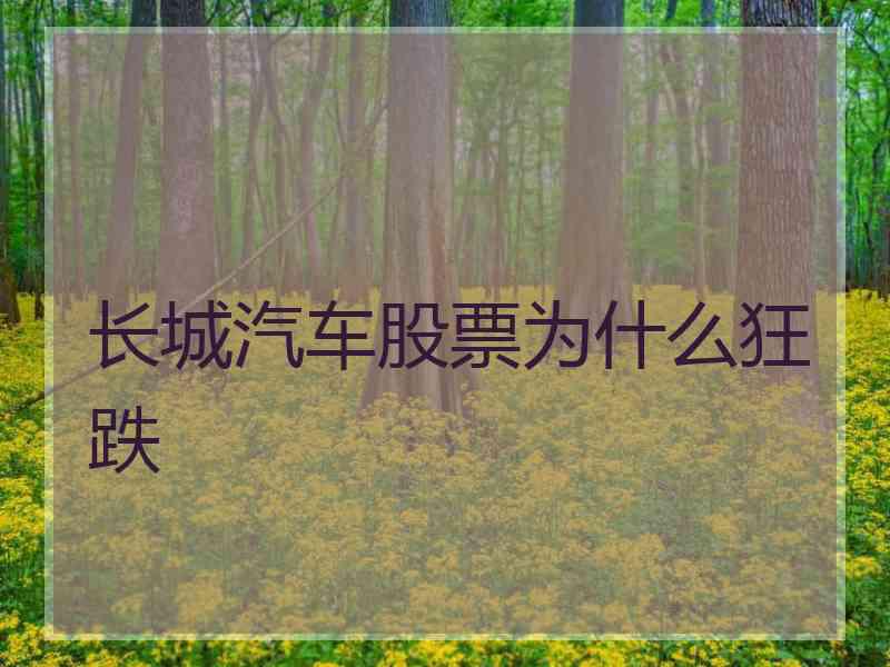 长城汽车股票为什么狂跌