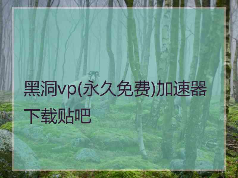 黑洞vp(永久免费)加速器下载贴吧