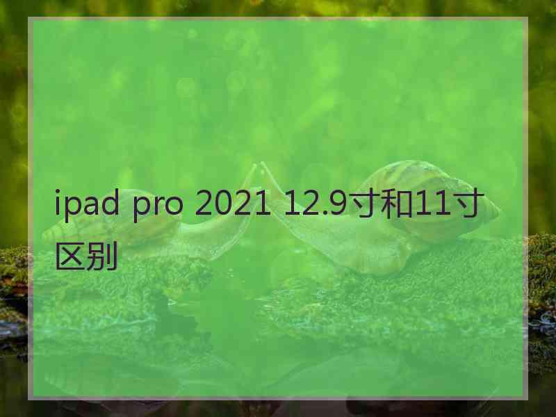 ipad pro 2021 12.9寸和11寸区别