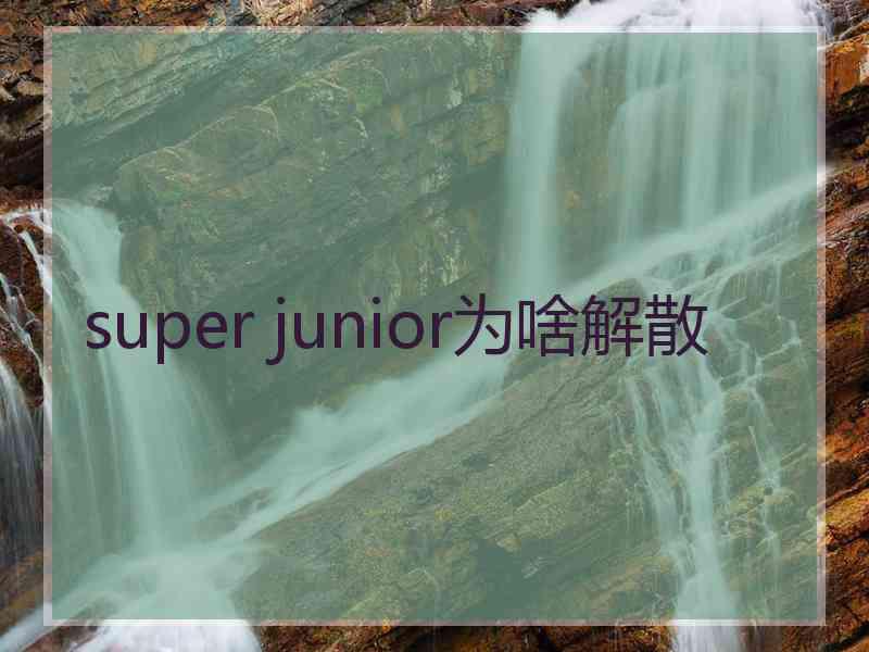 super junior为啥解散