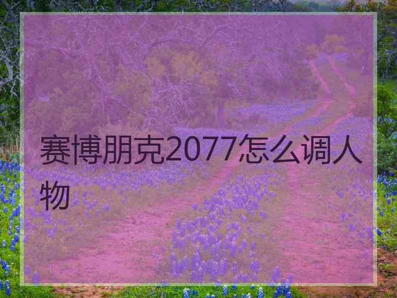 赛博朋克2077怎么调人物