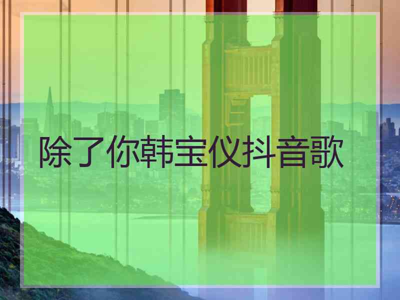 除了你韩宝仪抖音歌