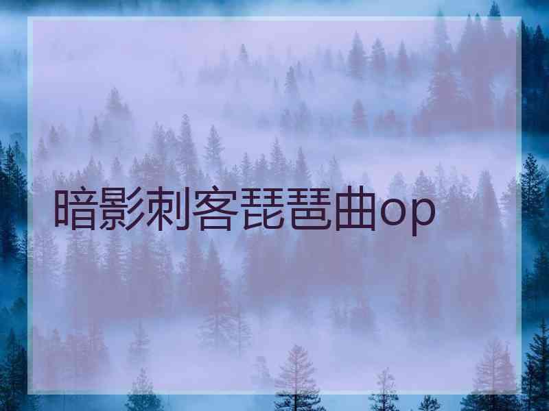 暗影刺客琵琶曲op