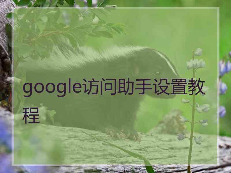 google访问助手设置教程