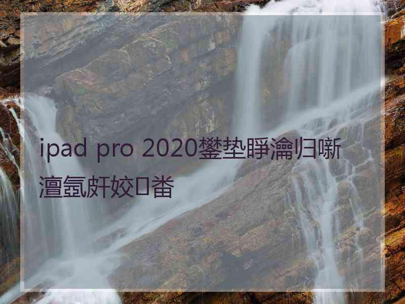 ipad pro 2020鐢垫睜瀹归噺澶氬皯姣畨