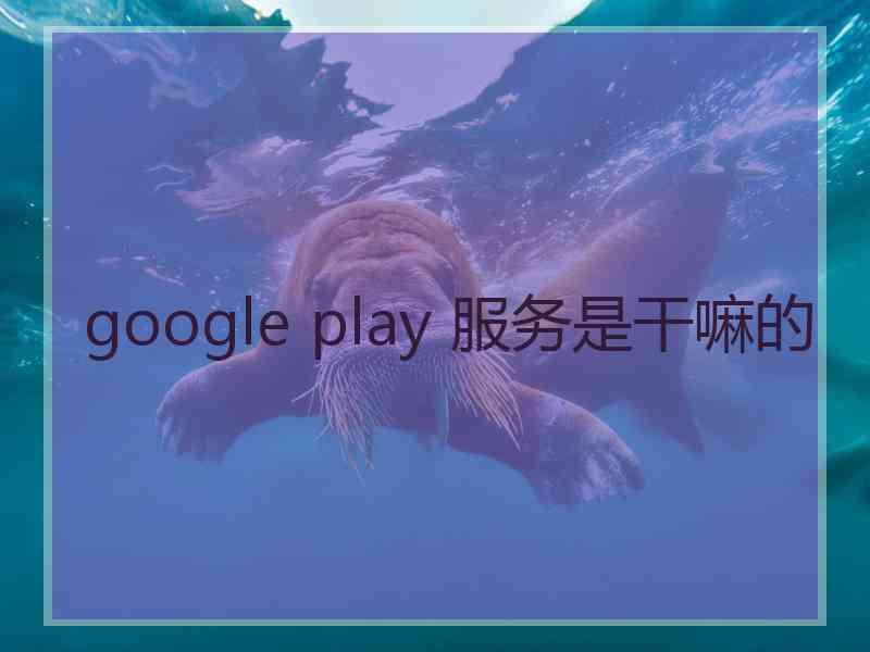 google play 服务是干嘛的