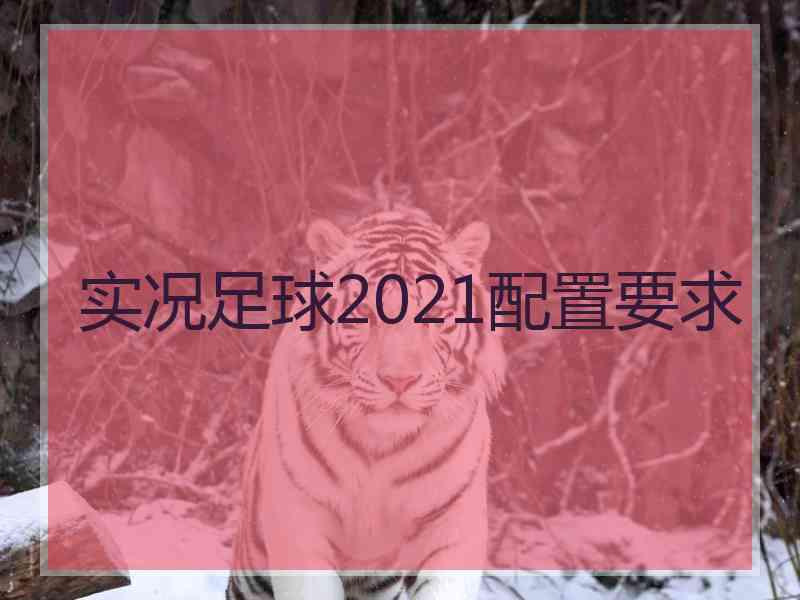 实况足球2021配置要求