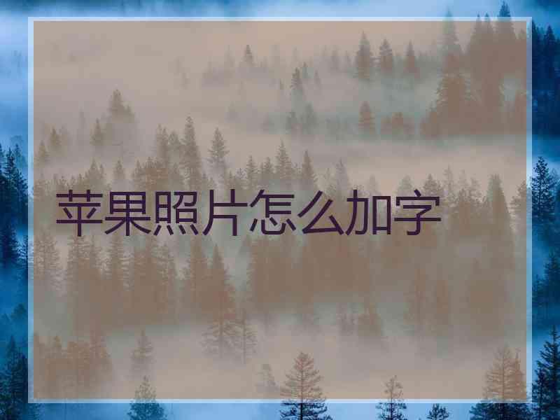 苹果照片怎么加字