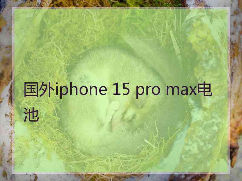 国外iphone 15 pro max电池