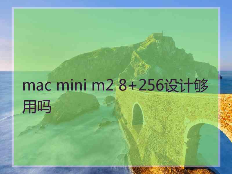 mac mini m2 8+256设计够用吗