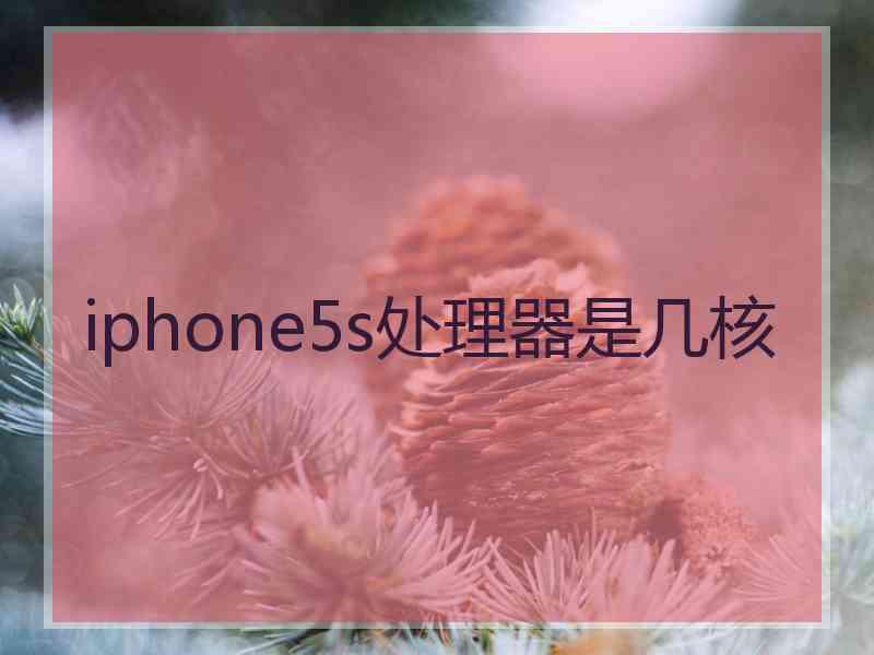 iphone5s处理器是几核