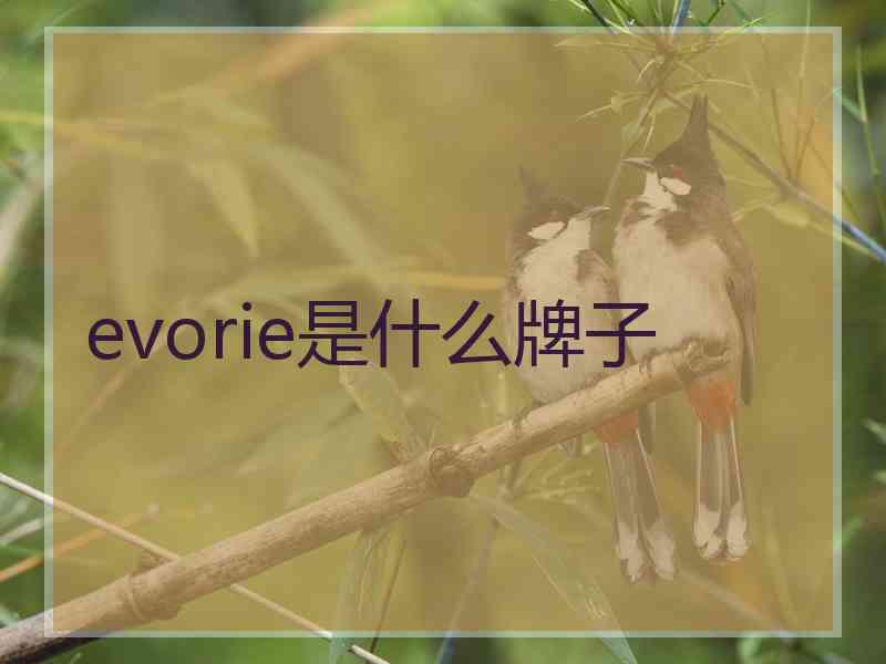 evorie是什么牌子