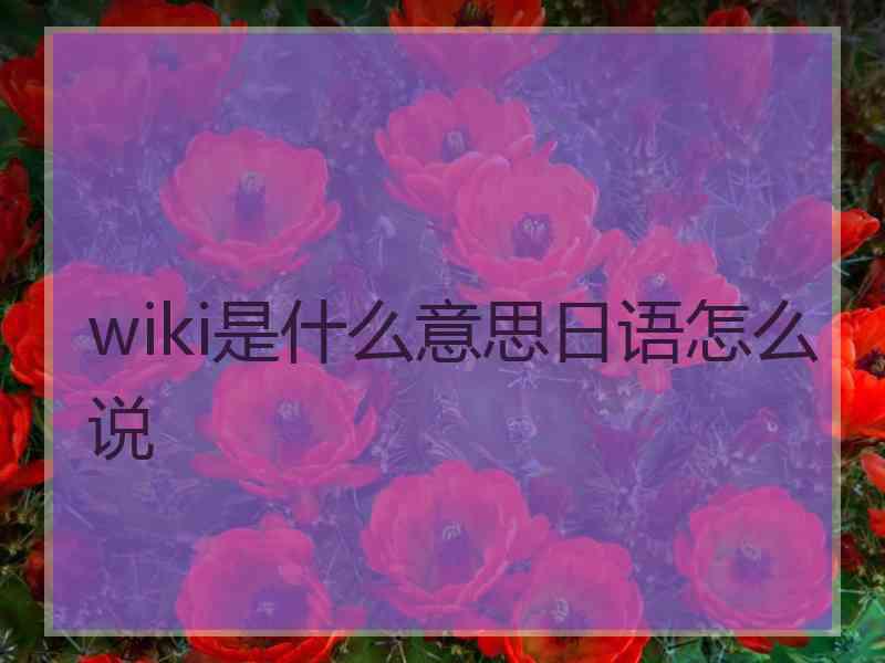 wiki是什么意思日语怎么说