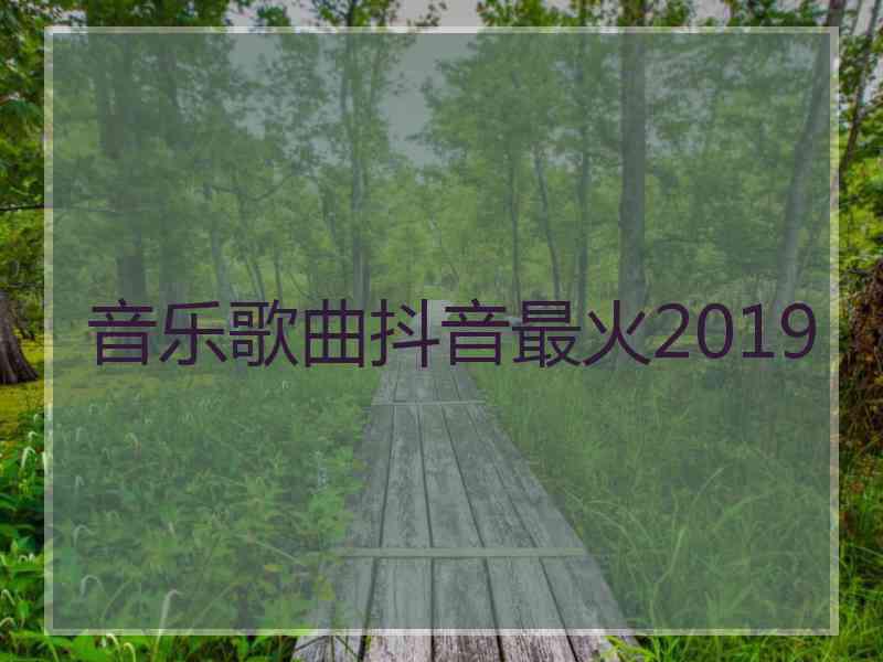 音乐歌曲抖音最火2019