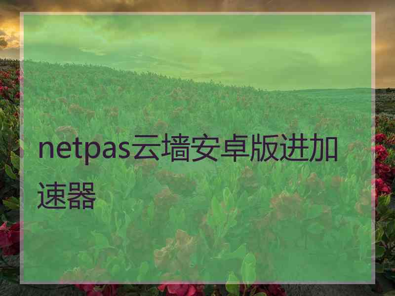 netpas云墙安卓版进加速器