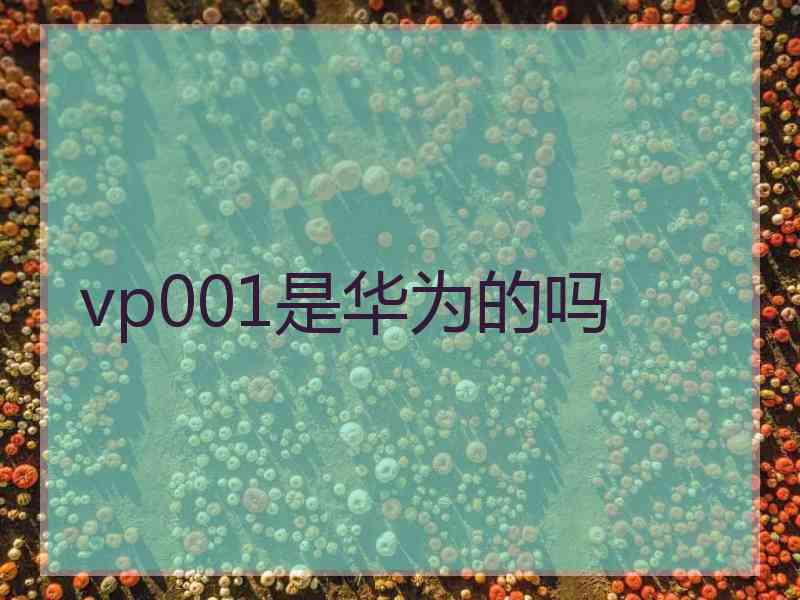 vp001是华为的吗