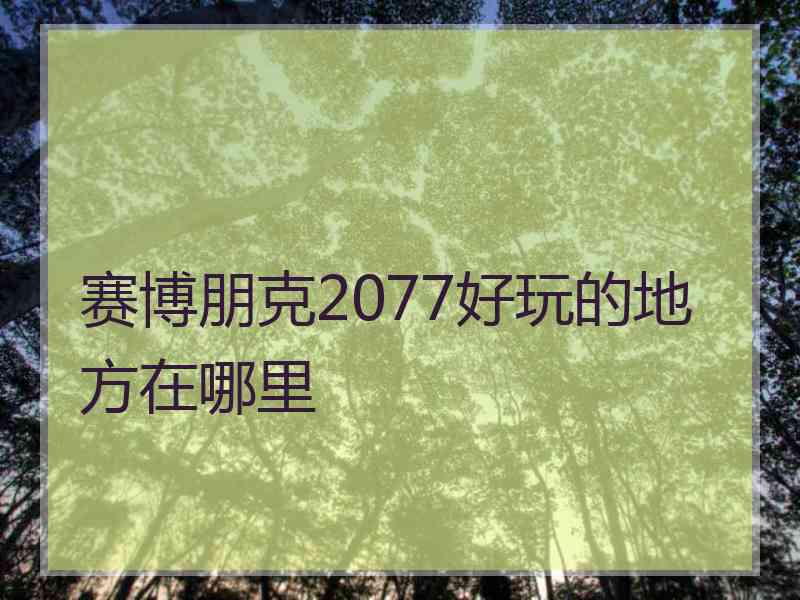 赛博朋克2077好玩的地方在哪里