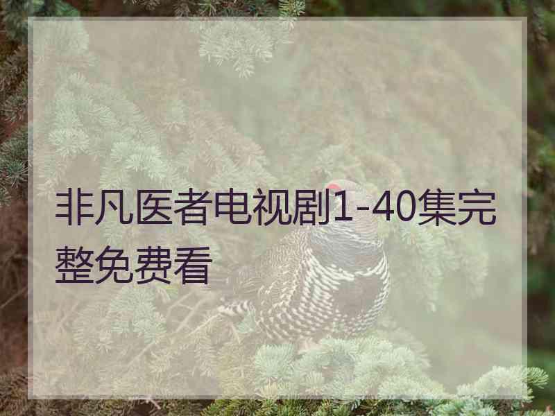 非凡医者电视剧1-40集完整免费看