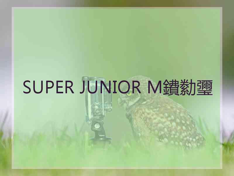 SUPER JUNIOR M鐨勬瓕