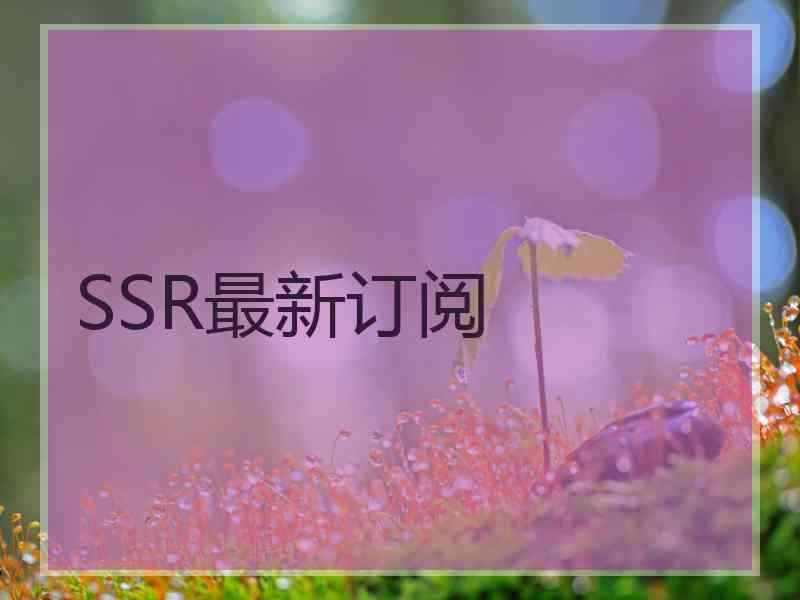 SSR最新订阅