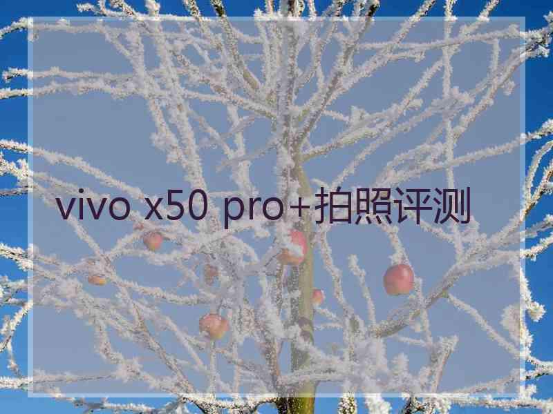 vivo x50 pro+拍照评测