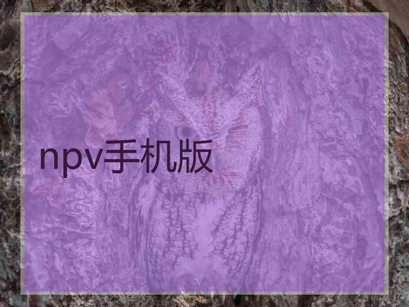 npv手机版