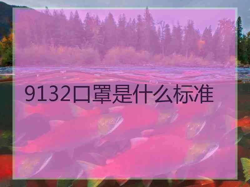 9132口罩是什么标准