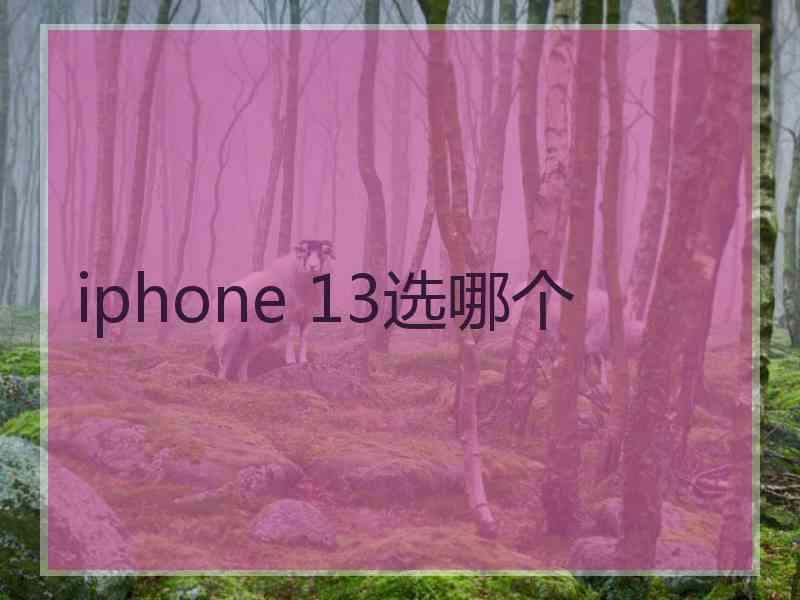 iphone 13选哪个