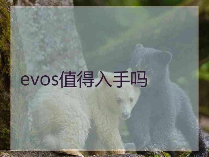 evos值得入手吗