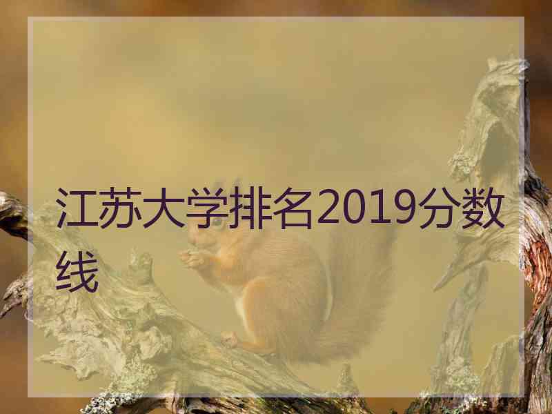 江苏大学排名2019分数线