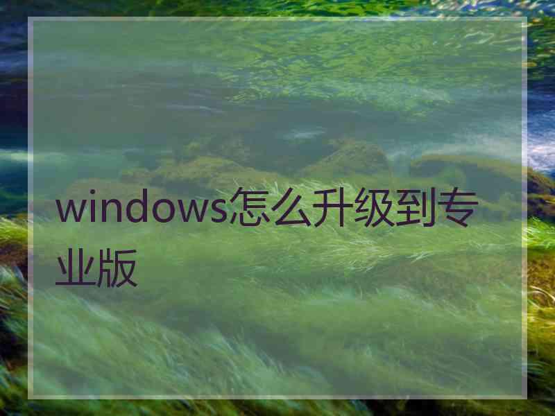 windows怎么升级到专业版