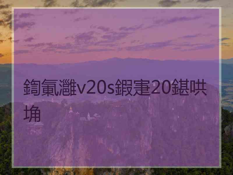 鍧氭灉v20s鍜寁20鍖哄埆