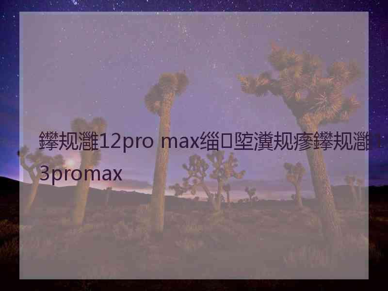 鑻规灉12pro max缁埅瀵规瘮鑻规灉13promax