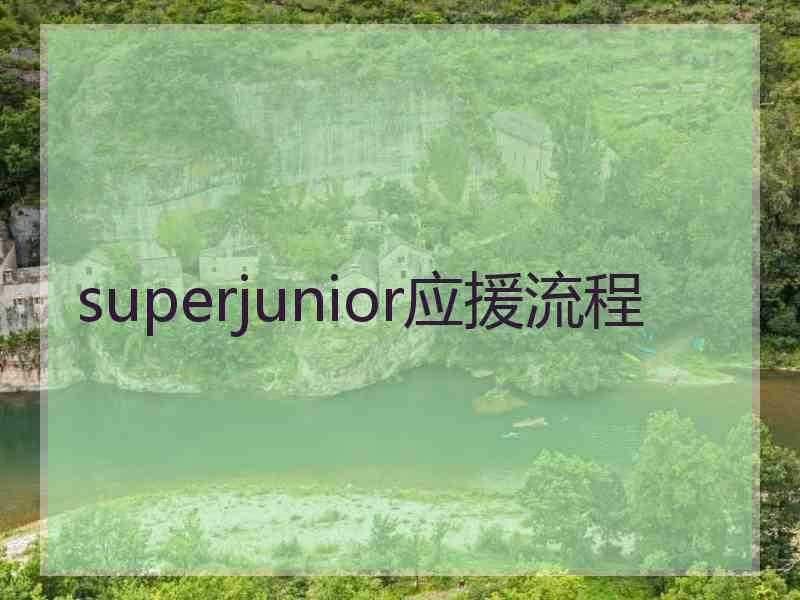 superjunior应援流程