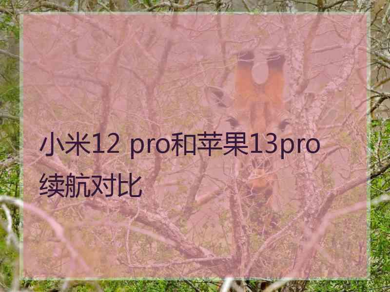 小米12 pro和苹果13pro续航对比