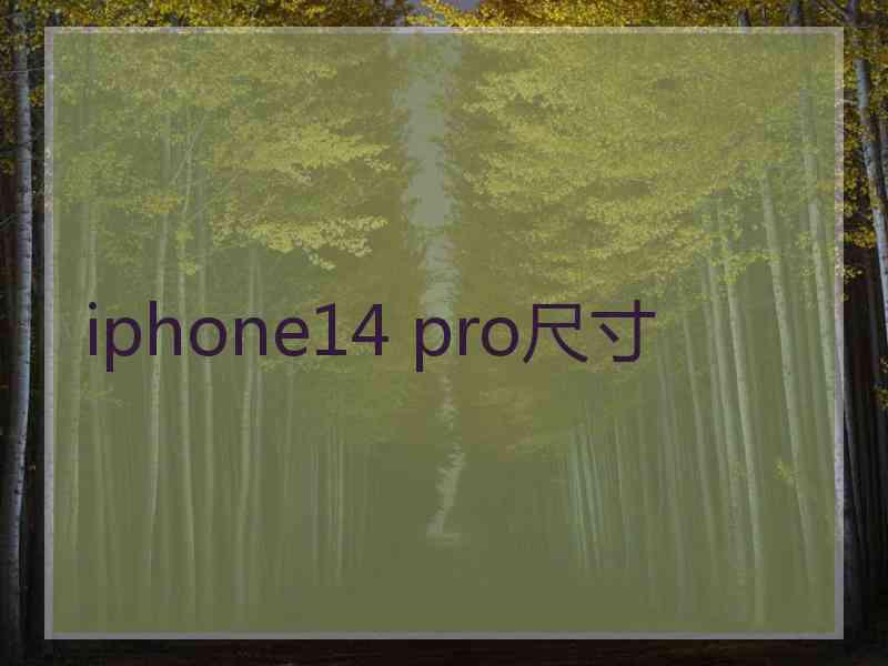 iphone14 pro尺寸