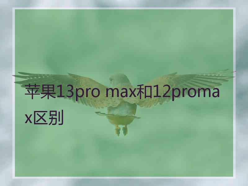 苹果13pro max和12promax区别