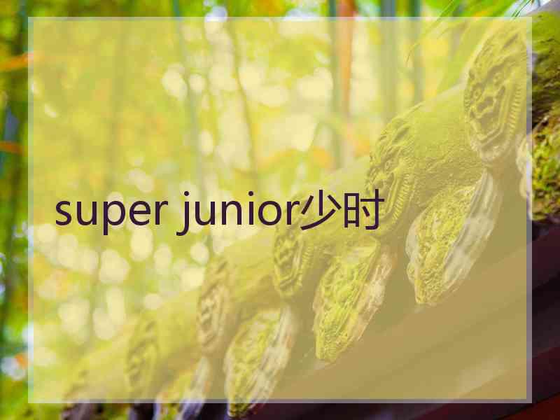 super junior少时