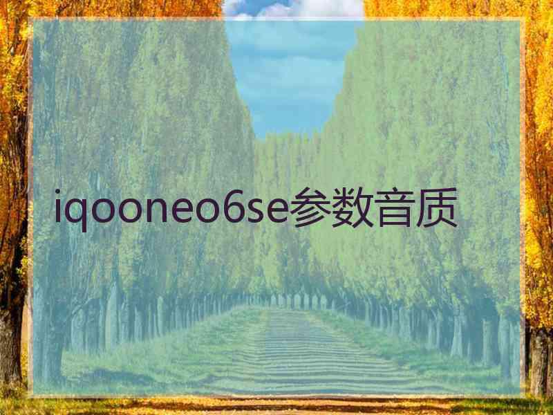 iqooneo6se参数音质