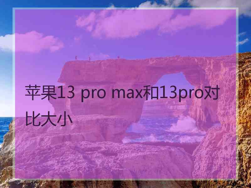 苹果13 pro max和13pro对比大小