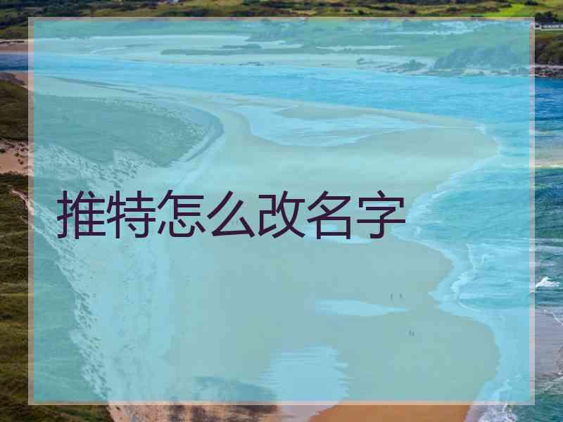 推特怎么改名字