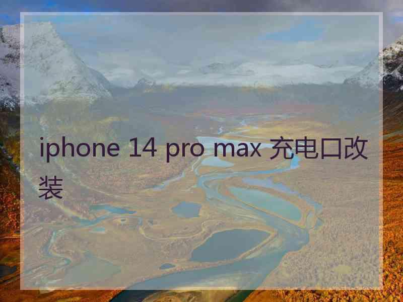 iphone 14 pro max 充电口改装