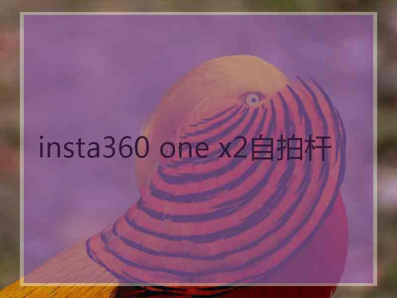 insta360 one x2自拍杆