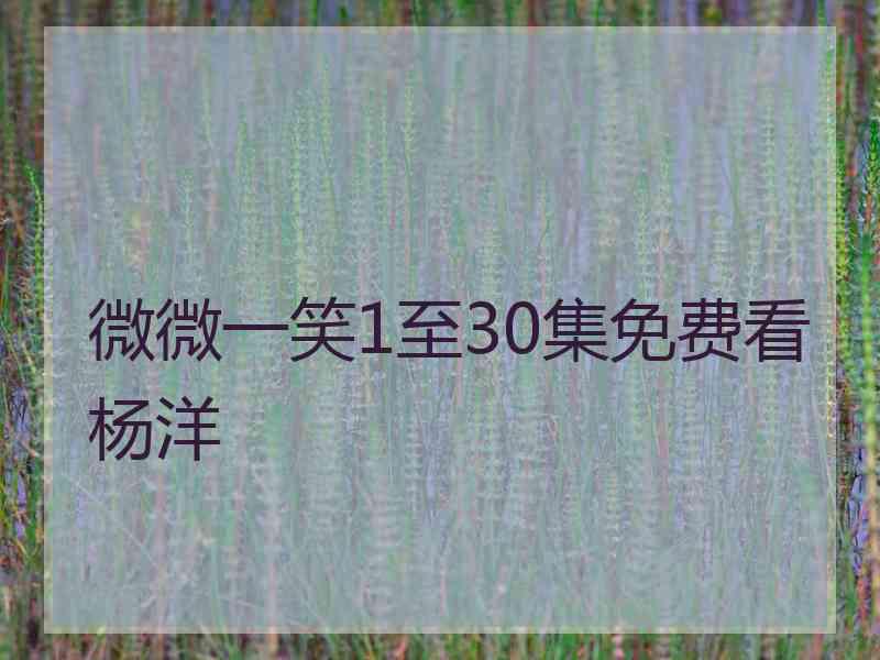 微微一笑1至30集免费看杨洋