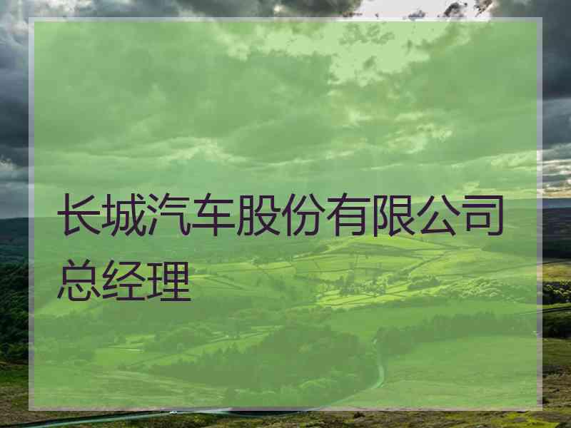 长城汽车股份有限公司总经理