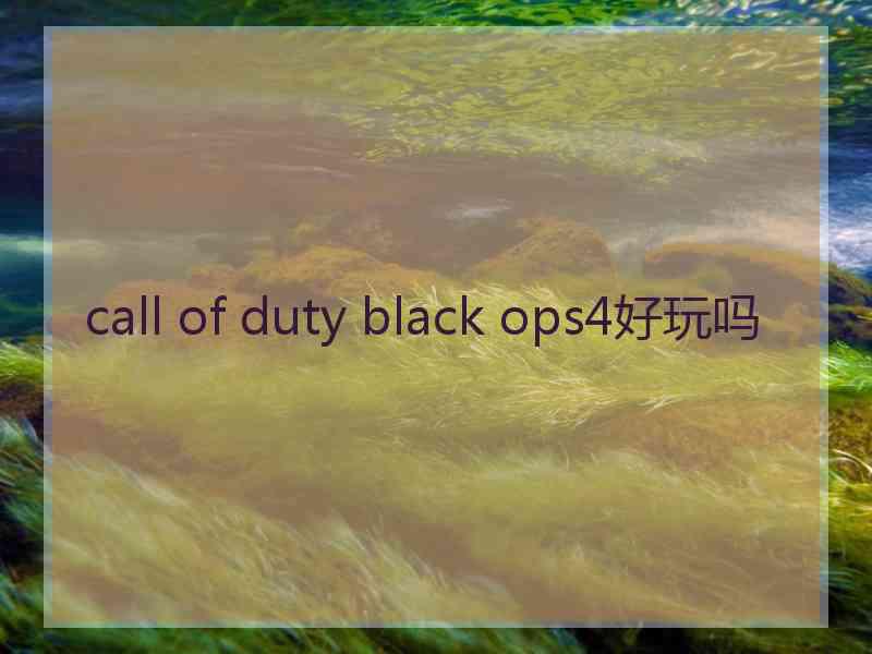 call of duty black ops4好玩吗