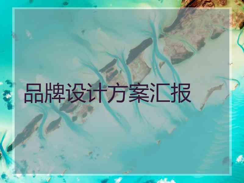 品牌设计方案汇报