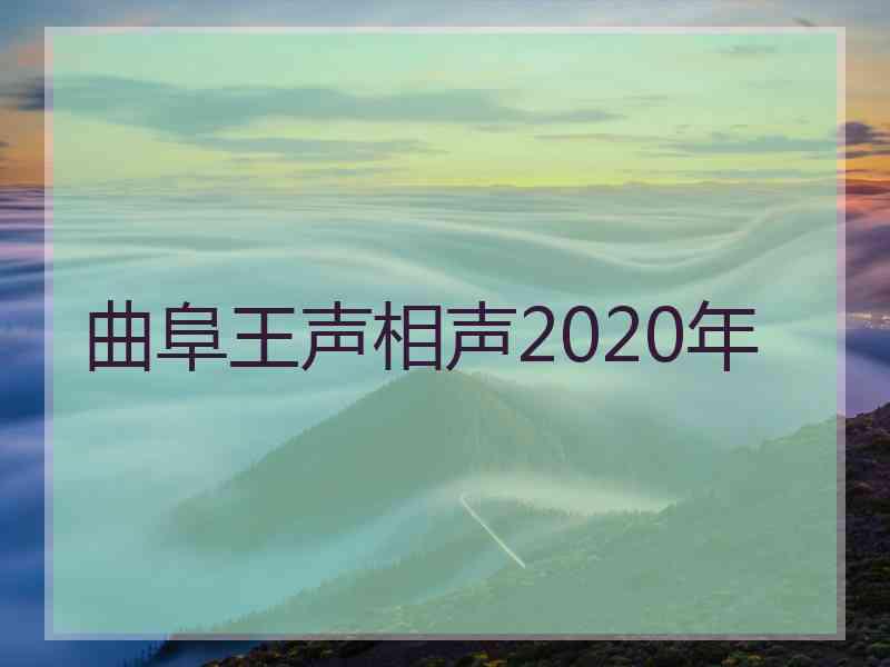 曲阜王声相声2020年