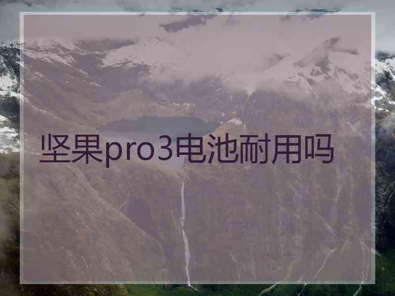 坚果pro3电池耐用吗