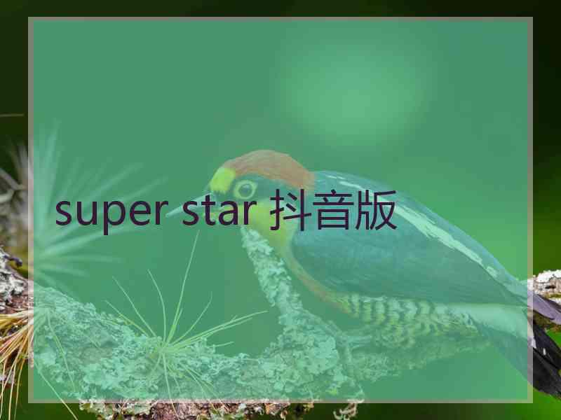 super star 抖音版